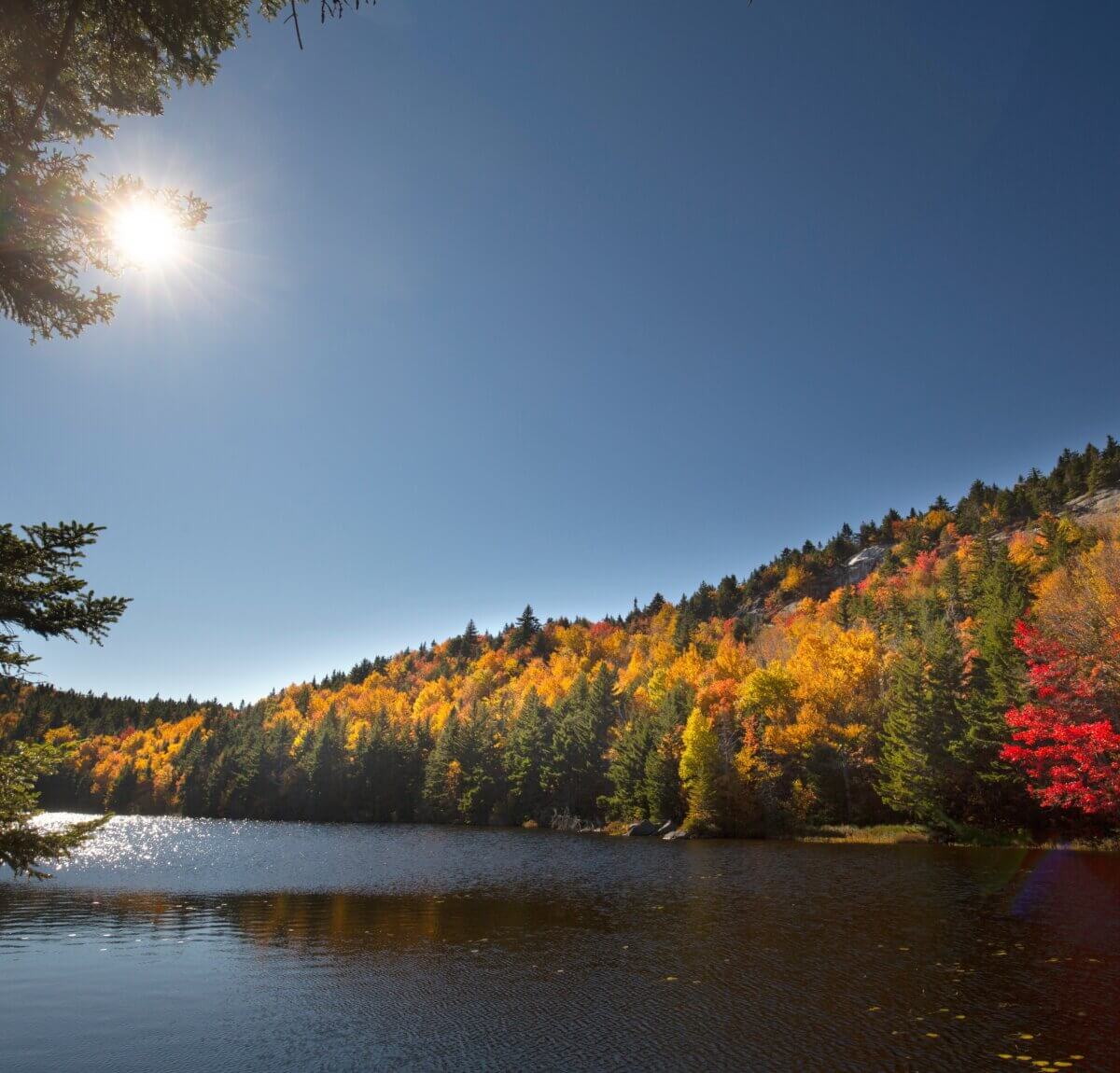 An image of a body of water with autumn trees around it in the night sky.