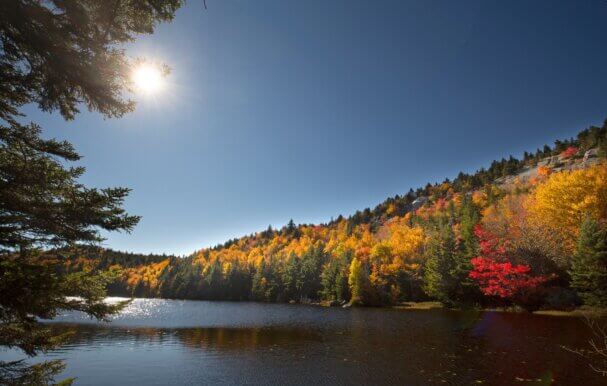 An image of a body of water with autumn trees around it in the night sky.