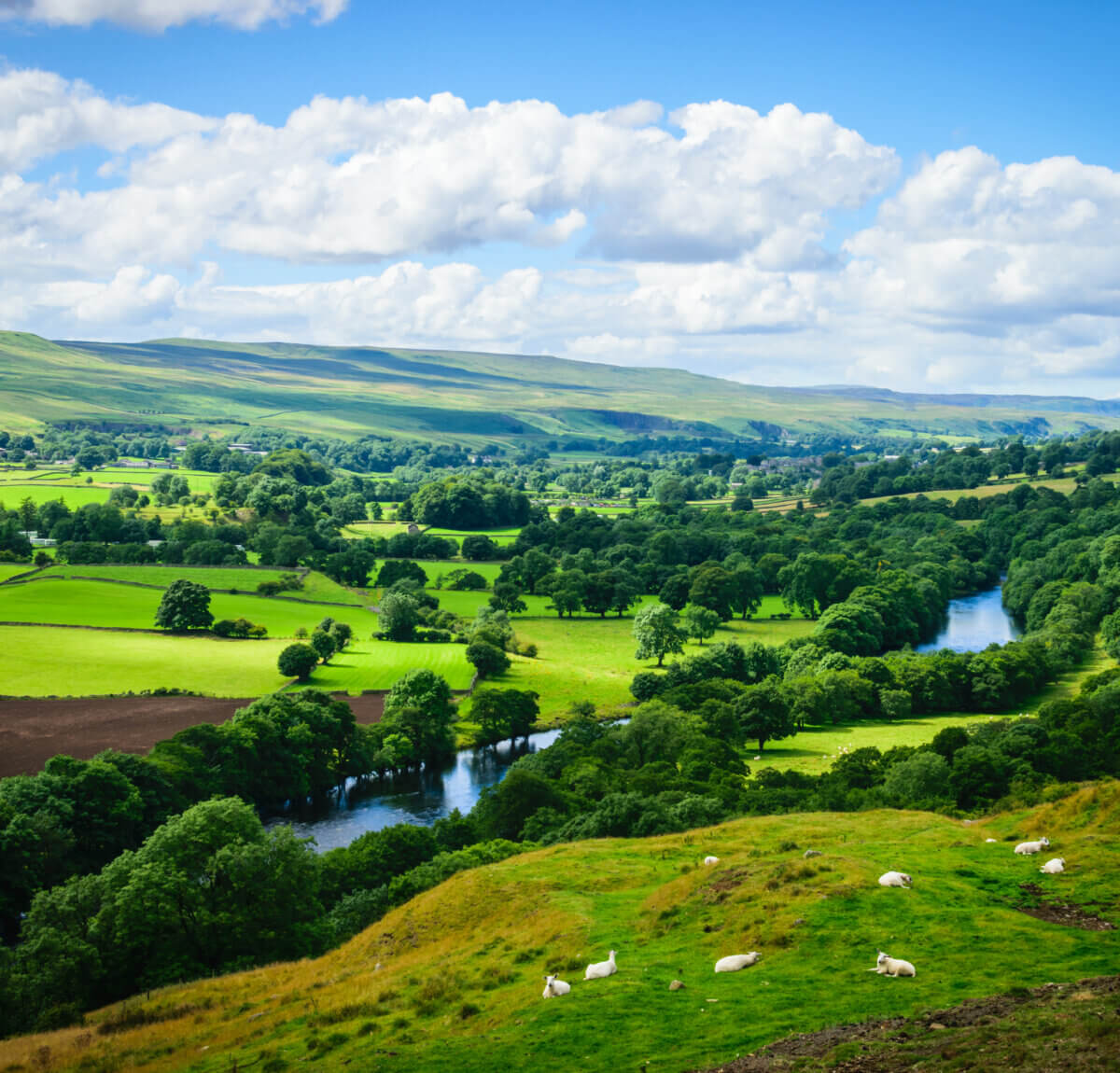 An image of a river and meandering green fields in Hereford.