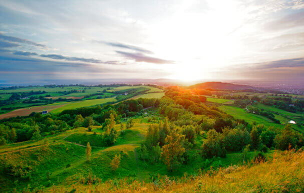 An image of a sunset in the Forest of Dean near Lydney.